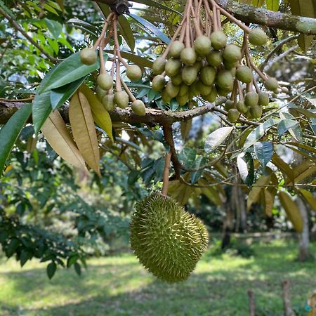 Willa Kebun Puisi Kajang Zewnętrze zdjęcie